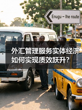 外汇管理服务实体经济如何实现质效跃升?(图4) 外汇管理服务实体经济如何实现质效跃升?(图4)