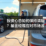 投资心态如何保持清醒?基金经理应对市场波动策略(图4) 投资心态如何保持清醒?基金经理应对市场波动策略(图4)