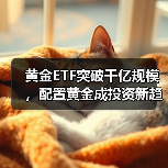 黄金ETF突破千亿规模，配置黄金成投资新趋势？（图3）