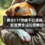 黄金ETF突破千亿规模，配置黄金成投资新趋势？（图4）