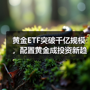 黄金ETF突破千亿规模，配置黄金成投资新趋势？（图1）