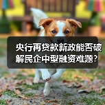 央行再贷款新政能否破解民企中型融资难题?(图2) 央行再贷款新政能否破解民企中型融资难题?(图2)