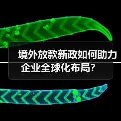 境外放款新政如何助力企业全球化布局?(图2) 境外放款新政如何助力企业全球化布局?(图2)