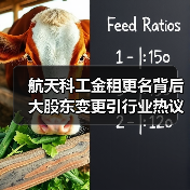 航天科工金租更名背后 大股东变更引行业热议(图2) 航天科工金租更名背后 大股东变更引行业热议(图2)