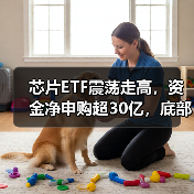 芯片ETF震荡走高，资金净申购超30亿，底部布局正当时？（图1）