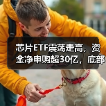 芯片ETF震荡走高，资金净申购超30亿，底部布局正当时？（图4）