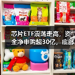 芯片ETF震荡走高，资金净申购超30亿，底部布局正当时？（图3）