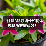 社融M2双增长如何体现货币政策成效?(图1) 社融M2双增长如何体现货币政策成效?(图1)