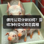 信托公司业绩如何?营收净利变化背后真相(图4) 信托公司业绩如何?营收净利变化背后真相(图4)