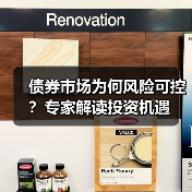 债券市场为何风险可控？专家解读投资机遇（图2）