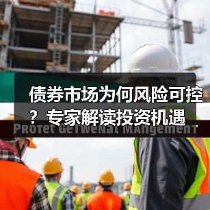 债券市场为何风险可控？专家解读投资机遇（图4）