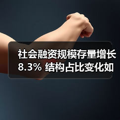 社会融资规模存量增长8.3% 结构占比变化如何？（图2）