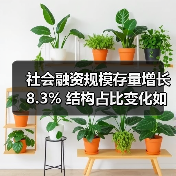 社会融资规模存量增长8.3% 结构占比变化如何？（图3）