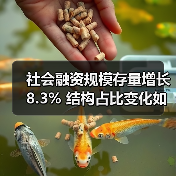 社会融资规模存量增长8.3% 结构占比变化如何？（图4）