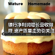 银行净利润增长营收微降 资产质量走势引关注(图3) 银行净利润增长营收微降 资产质量走势引关注(图3)