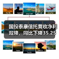 国投泰康信托营收净利双降,同比下降35.25%与44.27%引关注(图2) 国投泰康信托营收净利双降,同比下降35.25%与44.27%引关注(图2)