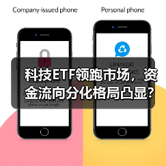 科技ETF领跑市场，资金流向分化格局凸显？（图2）