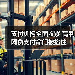 支付机构全面收紧 高利网贷支付命门被掐住(图3) 支付机构全面收紧 高利网贷支付命门被掐住(图3)