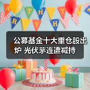 公募基金十大重仓股出炉 光伏茅连遭减持（图2）