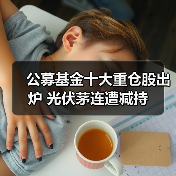 公募基金十大重仓股出炉 光伏茅连遭减持（图4）