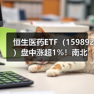 恒生医药ETF（159892）盘中涨超1%！南北向资金抢筹医药（图3）