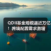 QDII基金规模逼近万亿!跨境配置需求激增(图2) QDII基金规模逼近万亿!跨境配置需求激增(图2)