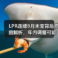 LPR连续8月未变背后原因解析,年内调整可能性有多大?(图3) LPR连续8月未变背后原因解析,年内调整可能性有多大?(图3)