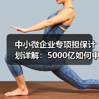 中小微企业专项担保计划详解:5000亿如何申请?(图2) 中小微企业专项担保计划详解:5000亿如何申请?(图2)