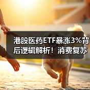 港股医药ETF暴涨3%背后逻辑解析！消费复苏如何影响行情？（图4）