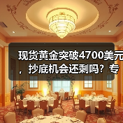 现货黄金突破4700美元,抄底机会还剩吗?专家预测突破6000美元(图3) 现货黄金突破4700美元,抄底机会还剩吗?专家预测突破6000美元(图3)