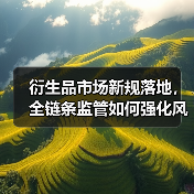 衍生品市场新规落地,全链条监管如何强化风险管理?(图4) 衍生品市场新规落地,全链条监管如何强化风险管理?(图4)