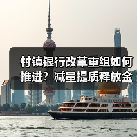 村镇银行改革重组如何推进?减量提质释放金融效能(图2) 村镇银行改革重组如何推进?减量提质释放金融效能(图2)