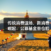 传统消费退场,新消费崛起:公募基金重仓股大洗牌(图2) 传统消费退场,新消费崛起:公募基金重仓股大洗牌(图2)