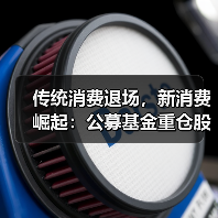 传统消费退场,新消费崛起:公募基金重仓股大洗牌(图4) 传统消费退场,新消费崛起:公募基金重仓股大洗牌(图4)