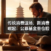 传统消费退场,新消费崛起:公募基金重仓股大洗牌(图3) 传统消费退场,新消费崛起:公募基金重仓股大洗牌(图3)