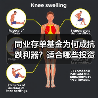 同业存单基金为何成抗跌利器？适合哪些投资