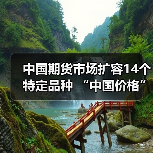 中国期货市场扩容14个特定品种 “中国价格”影响力加速提升(图1) 中国期货市场扩容14个特定品种 “中国价格”影响力加速提升(图1)