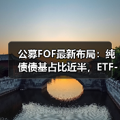 公募FOF最新布局:纯债债基占比近半,ETF-FOF成新宠?(图1) 公募FOF最新布局:纯债债基占比近半,ETF-FOF成新宠?(图1)