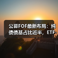 公募FOF最新布局:纯债债基占比近半,ETF-FOF成新宠?(图3) 公募FOF最新布局:纯债债基占比近半,ETF-FOF成新宠?(图3)