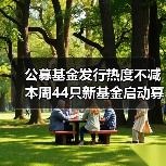 公募基金发行热度不减 本周44只新基金启动募集（图2）