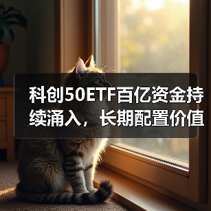 科创50ETF百亿资金持续涌入，长期配置价值几何？（图2）