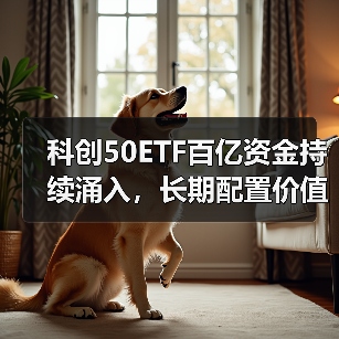 科创50ETF百亿资金持续涌入，长期配置价值几何？（图1）