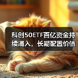 科创50ETF百亿资金持续涌入，长期配置价值几何？（图3）