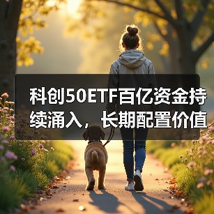 科创50ETF百亿资金持续涌入，长期配置价值几何？（图4）