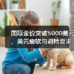 国际金价突破5000美元,美元疲软与避险需求推动上涨(图1) 国际金价突破5000美元,美元疲软与避险需求推动上涨(图1)