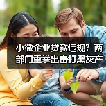 小微企业贷款违规?两部门重拳出击打黑灰产(图2) 小微企业贷款违规?两部门重拳出击打黑灰产(图2)
