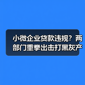小微企业贷款违规?两部门重拳出击打黑灰产(图3) 小微企业贷款违规?两部门重拳出击打黑灰产(图3)