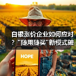 白银涨价企业如何应对？