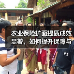 农业保险扩面提质成效显著,如何提升保障与风险分散能力?(图2) 农业保险扩面提质成效显著,如何提升保障与风险分散能力?(图2)