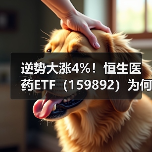 逆势大涨4%！恒生医药ETF（159892）为何连续获资金抢筹？（图2）